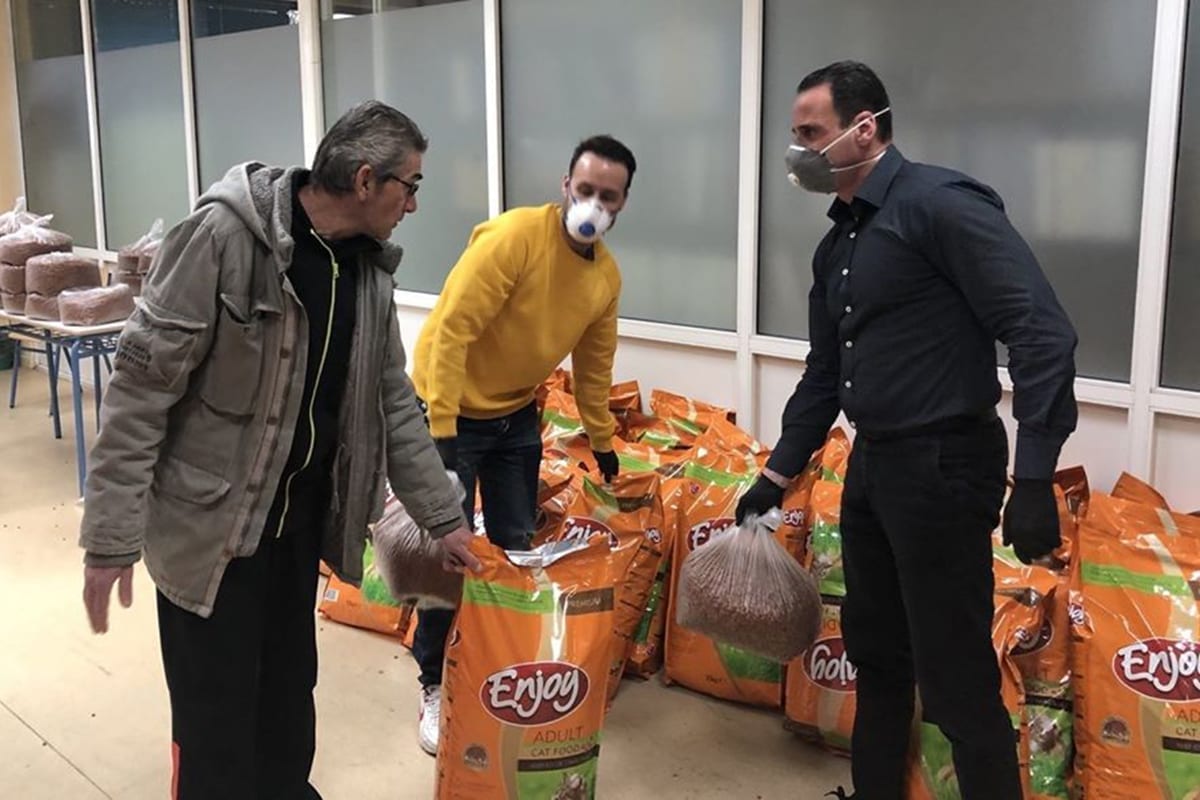 αδεσποτα-νεα-φιλοζωικα-δημος-περιστεριου