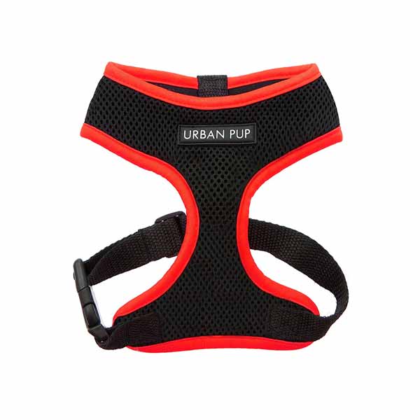 urban pup-σαμαρακι-σκυλου