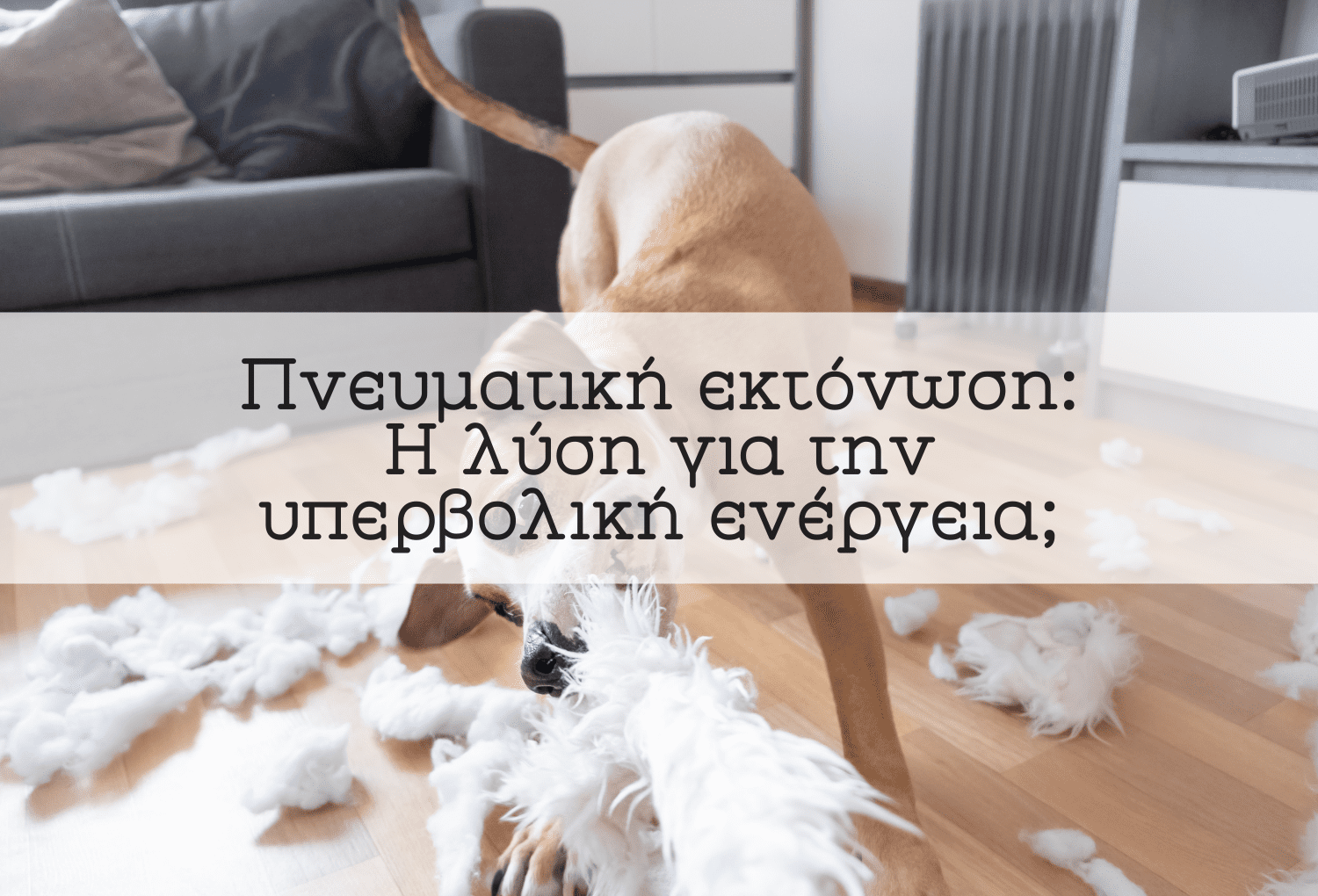 εκπαιδευση σκυλου-εκτονωση-blog-κατοικιδια