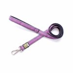 max&molly-οδηγος-σκυλου