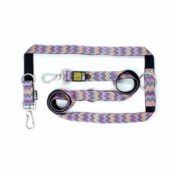 max&molly-οδηγος-σκυλος