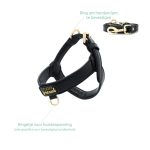 studio prpoud snake print Σαμαρακι σκυλου