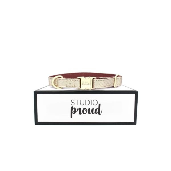 περιλαιμιο-σκυλου-studio proud-snake-χρυσο