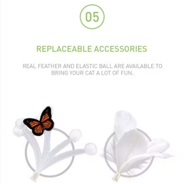 Προσθέστε λίγο κείμενο (6)