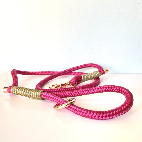 χειροποιητος οδηγος σκυλου